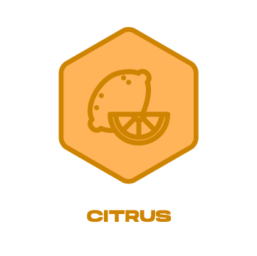 Citrus Icon